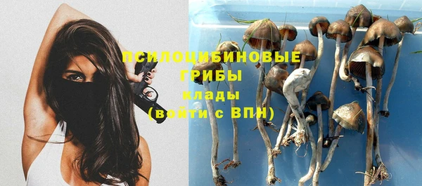 сатива Богданович