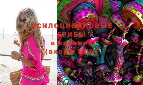 сатива Богданович