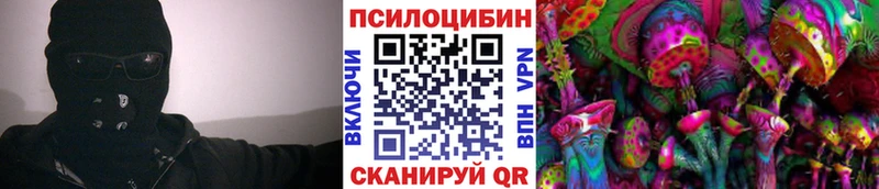kraken tor  Дальнегорск  Галлюциногенные грибы MAGIC MUSHROOMS 