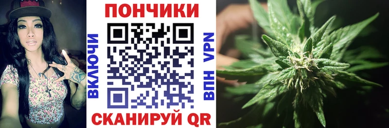 Канабис планчик  наркота  Дальнегорск 